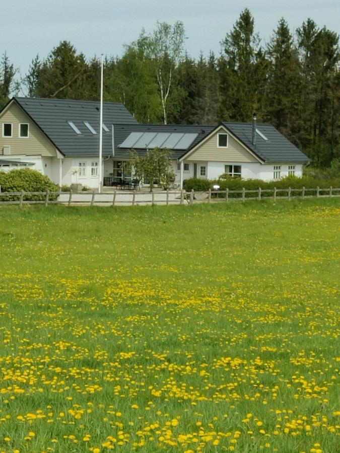 Ferienwohnung Rosengard Hammel Exterior foto
